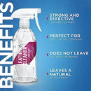 GYEON Q2M LEATHER CLEANER STRONG